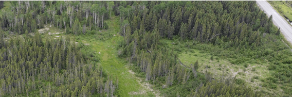 Image for Mayfair Gold Corp.