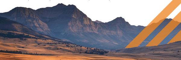 Image for Domestic Metals