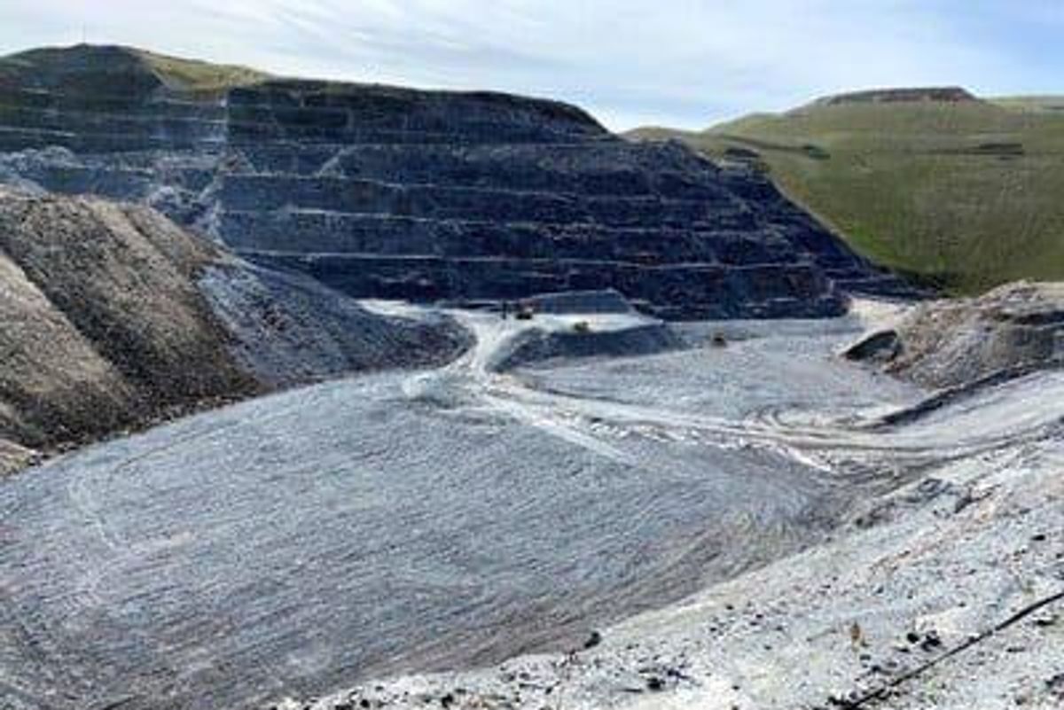 life extension australia