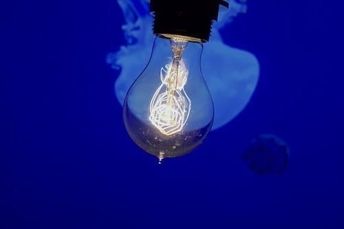 light bulb in ocean with jellyfish