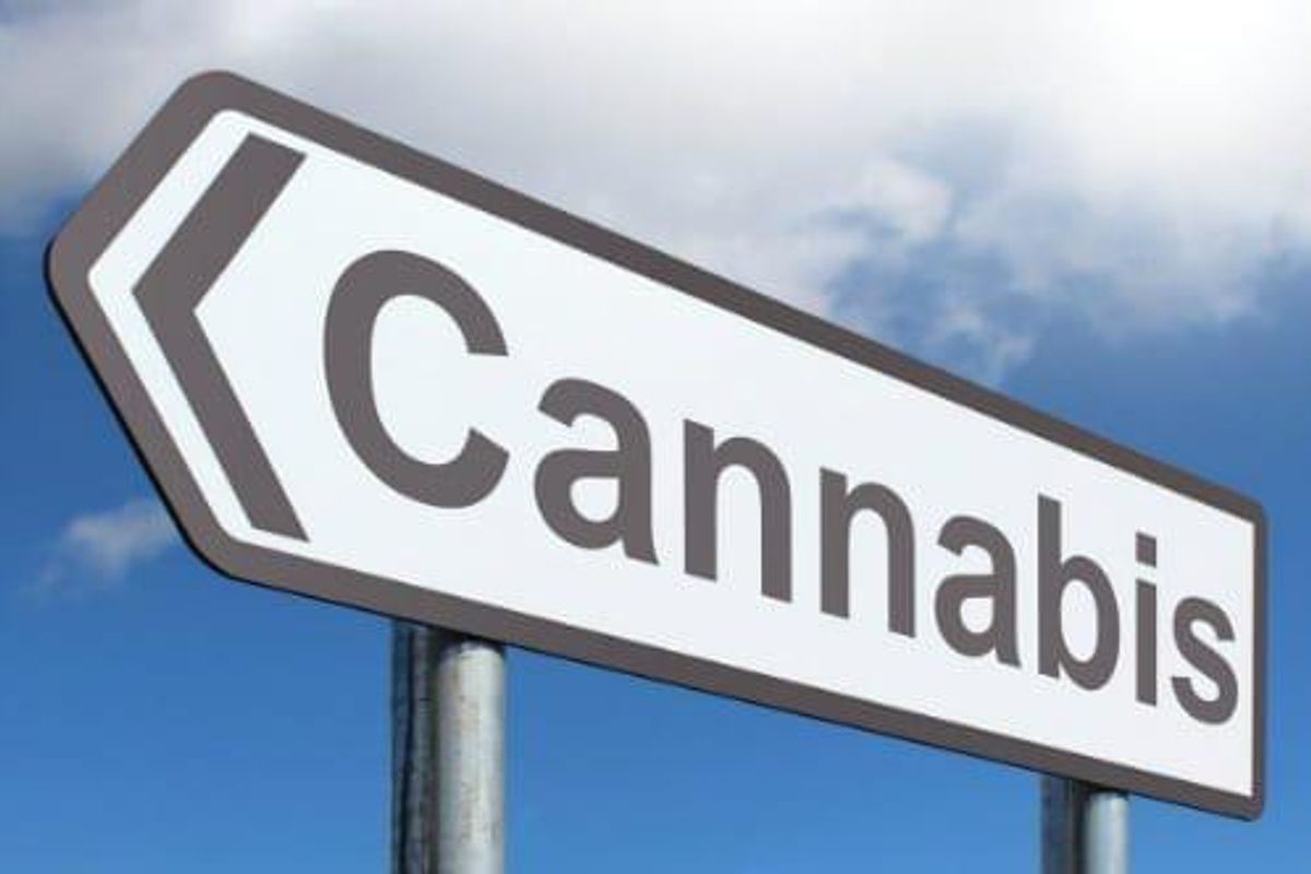 list of marijuanas stocks canada