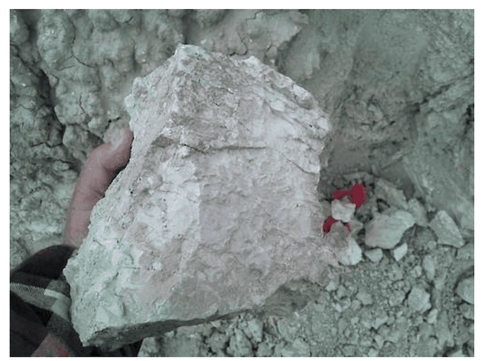 Lithium-enriched claystone on the surface at Clayton Valley Project, Nevada