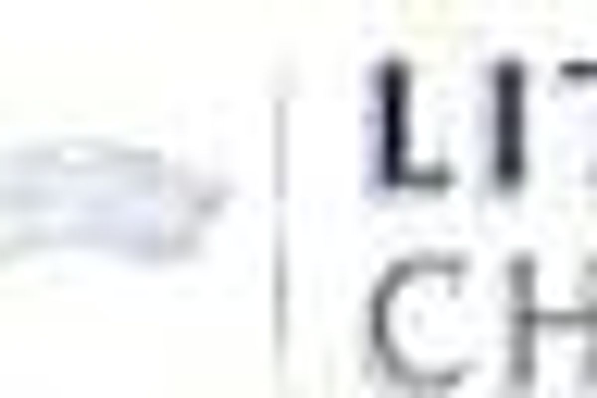 Lithium Investing