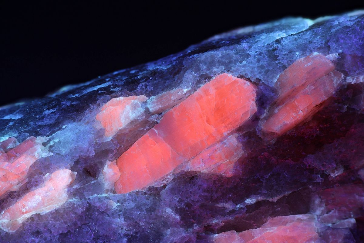Lithium spodumene minerals show fluorescent glow in bright pink and purple against a dark background, highlighting rough granular textures.