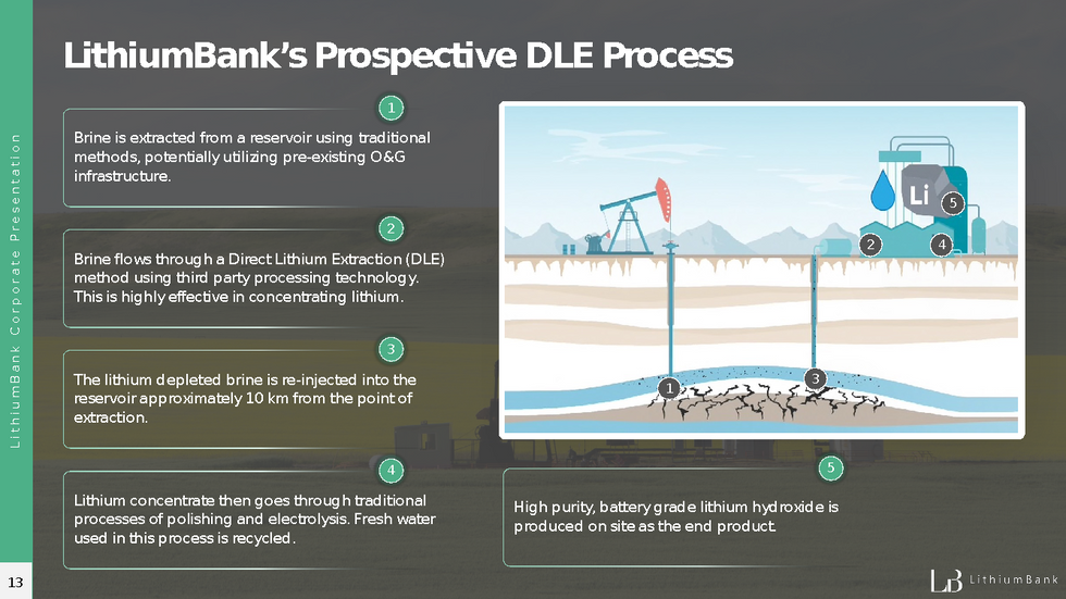 LithiumBank Prospective DLE Process