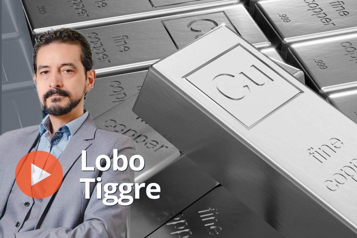 Lobo Tiggre, copper bars.