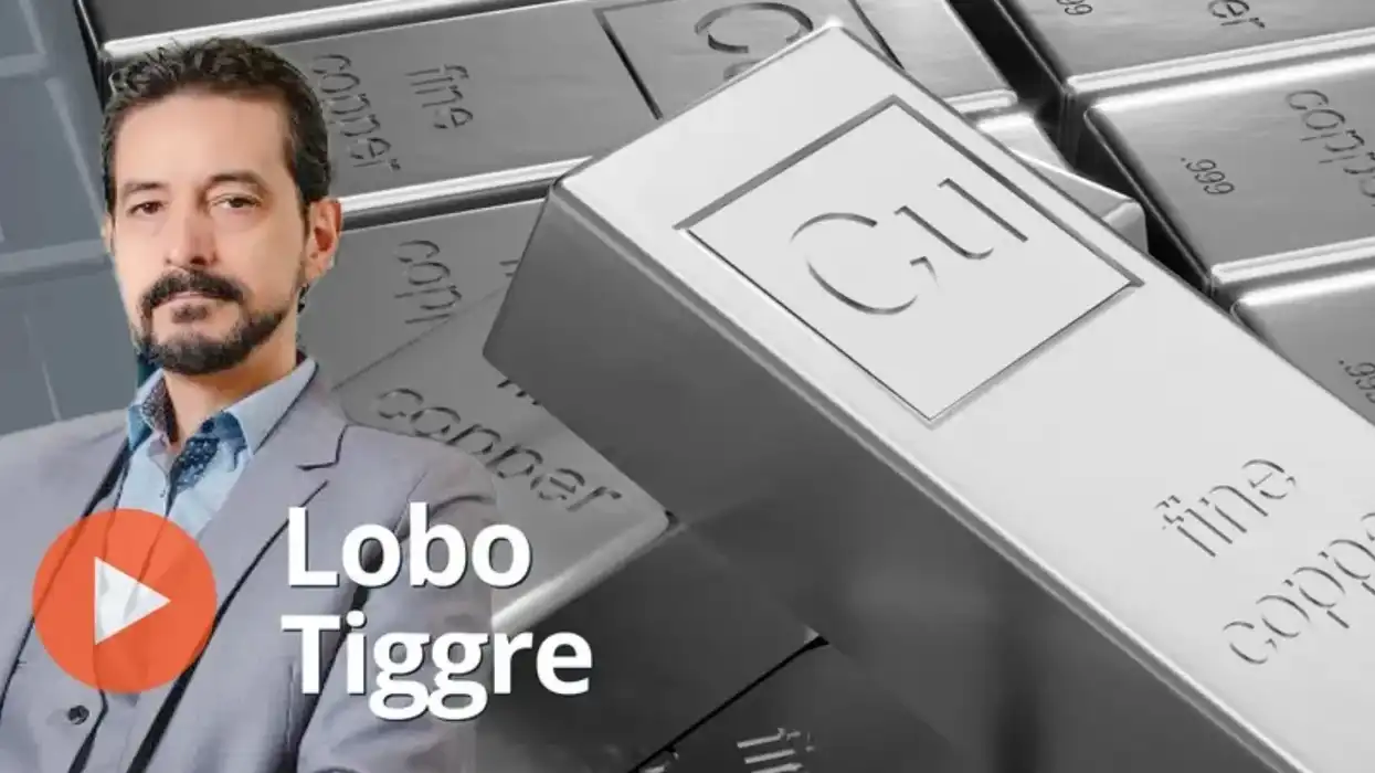 Lobo Tiggre, copper bars.