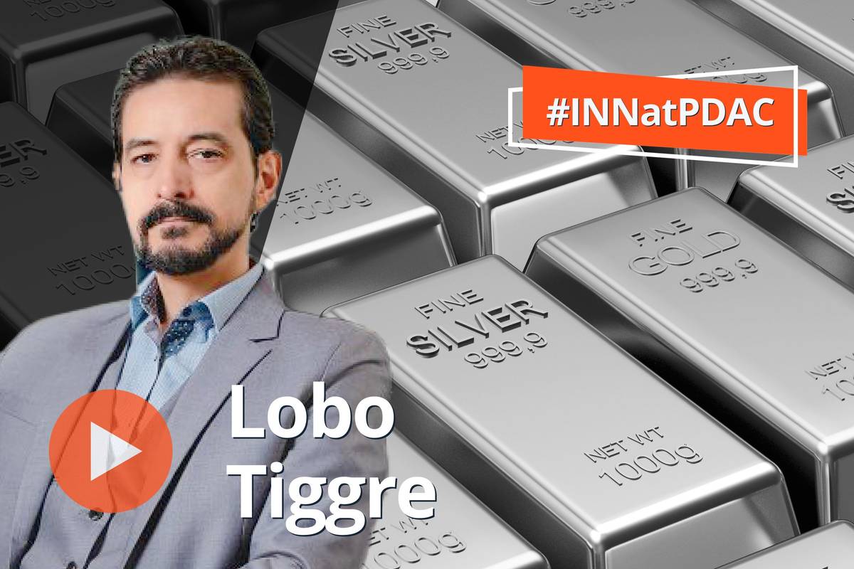 Lobo Tiggre, gold and silver bars.