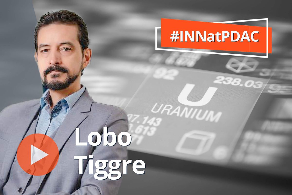 lobo tiggre, uranium periodic symbol