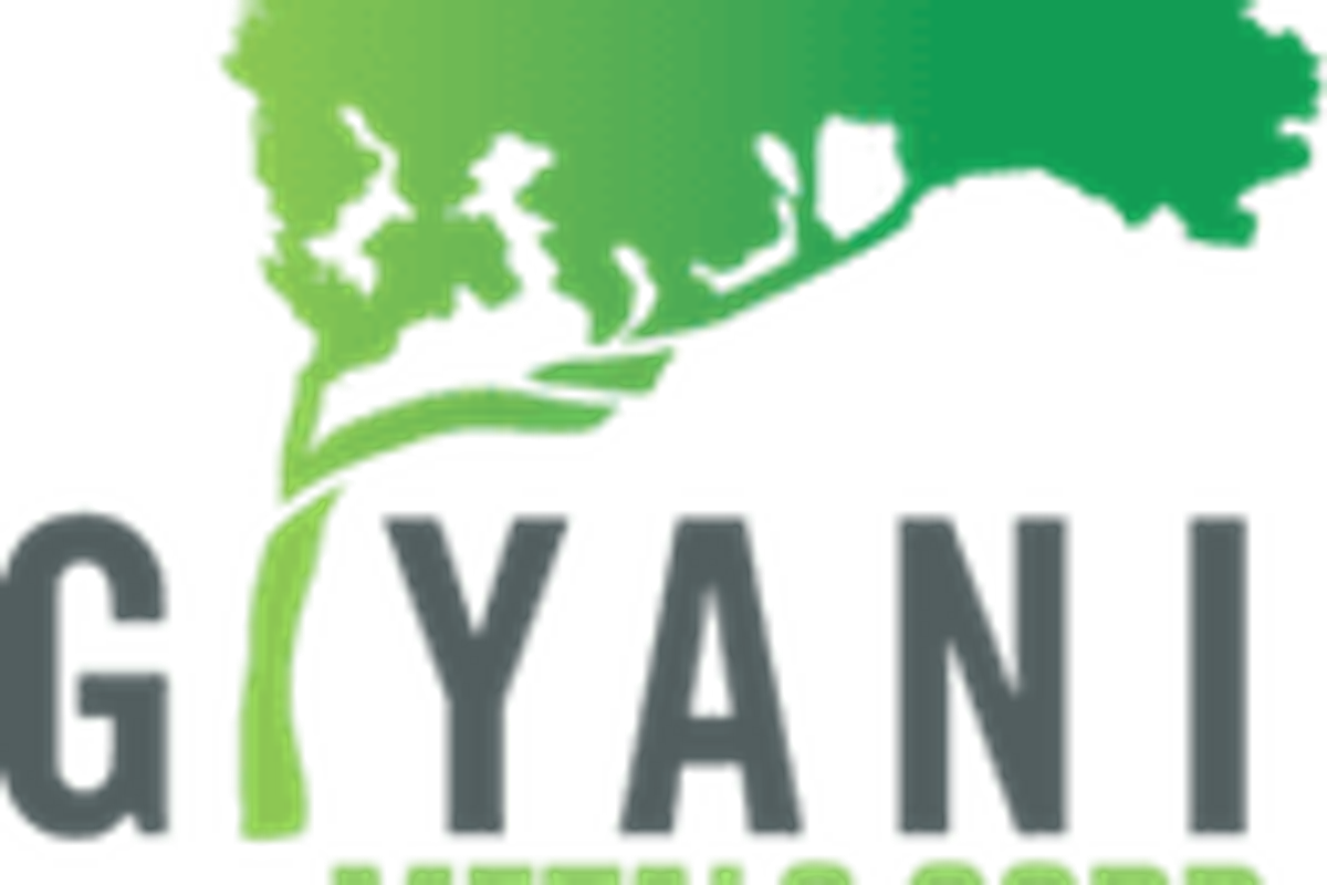 Manganese Investing