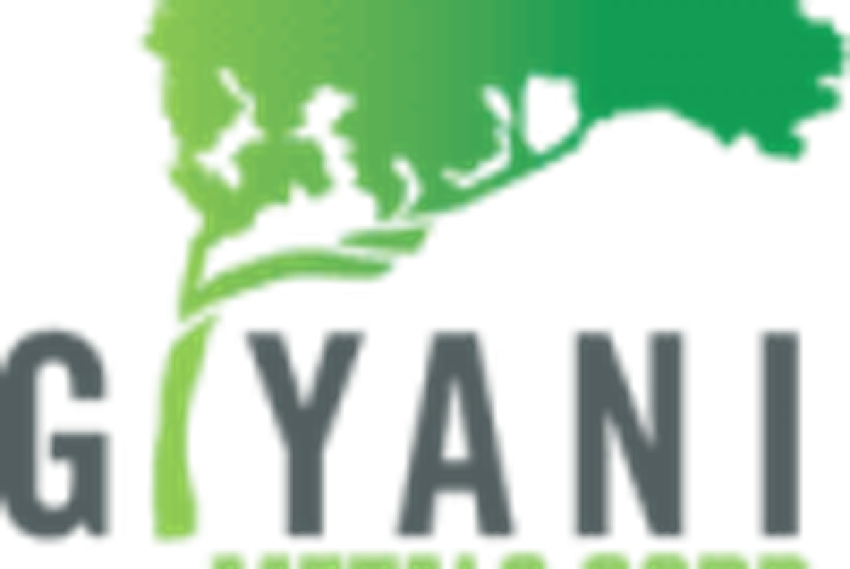 Manganese Investing