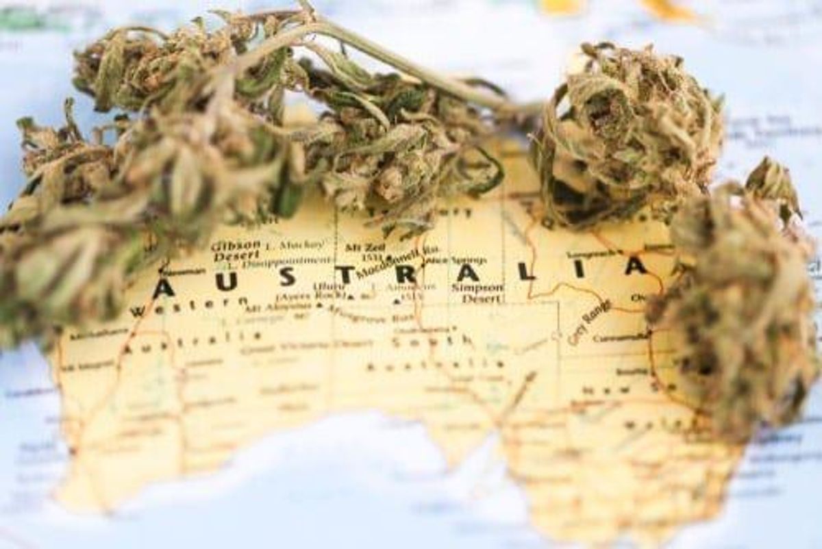 map of australia with cannabis flower on top