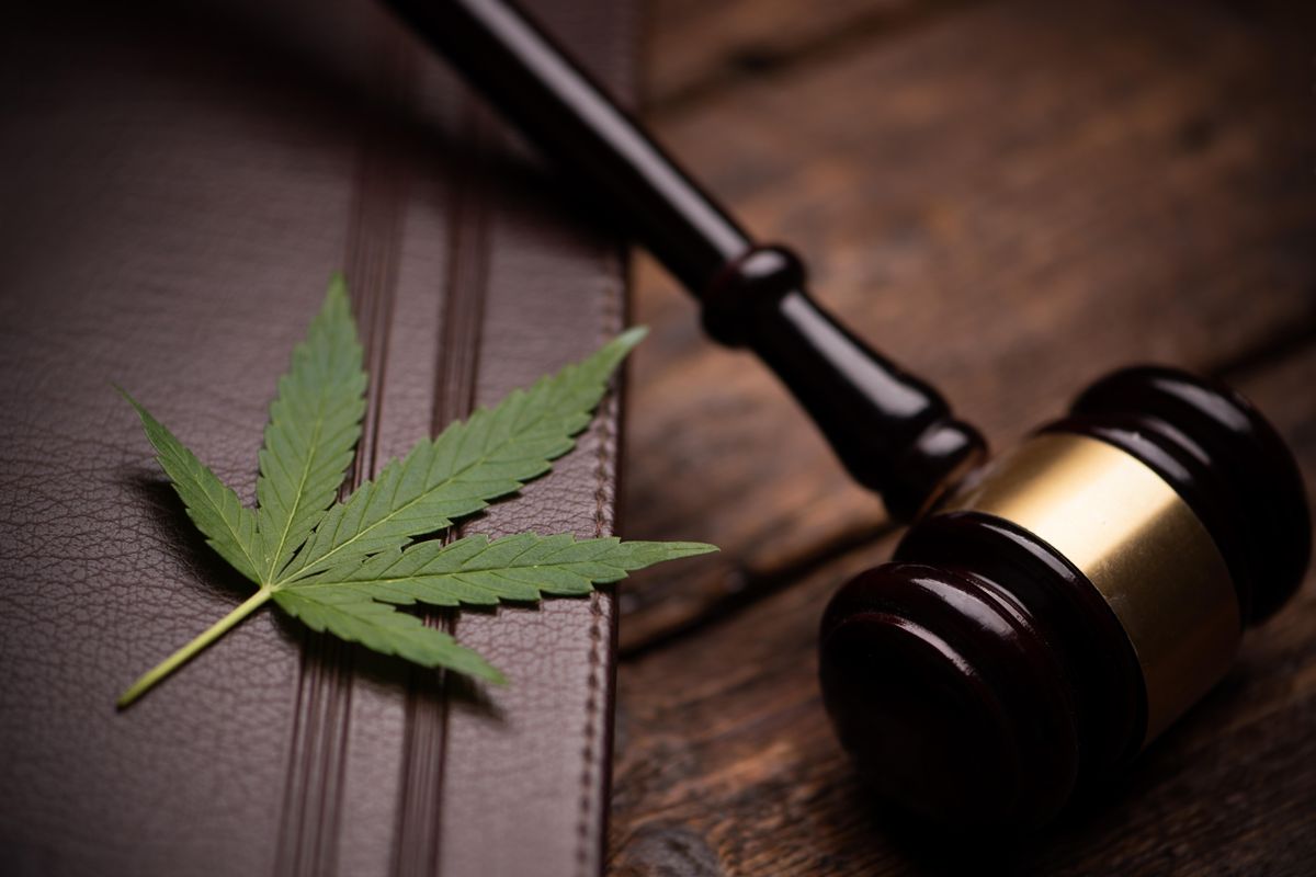 marijuana leaf and judge's gavel