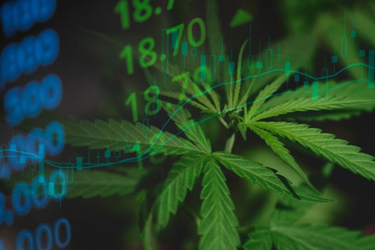 Marijuana leaves and stock chart.