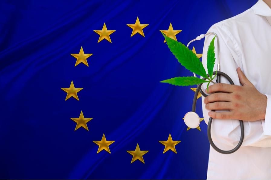 medical expert with cannabis plant and european flag in the background