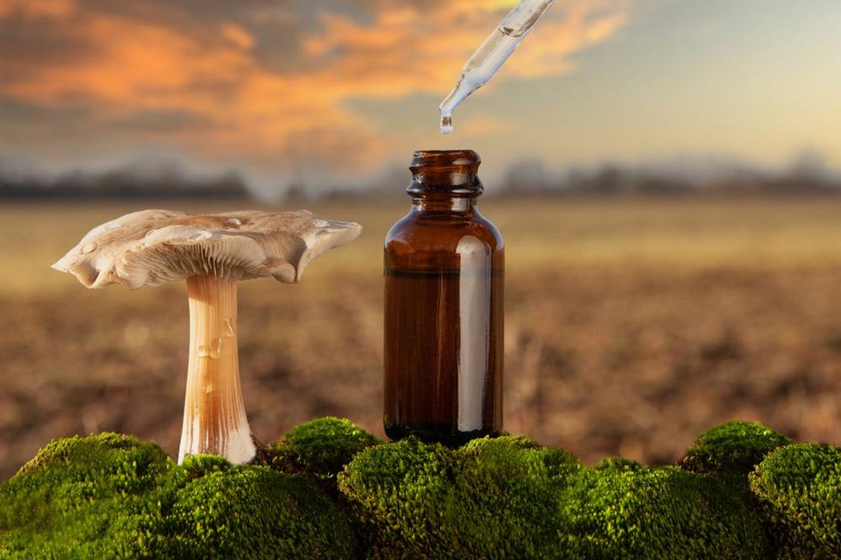 medical mushroom beside bottle