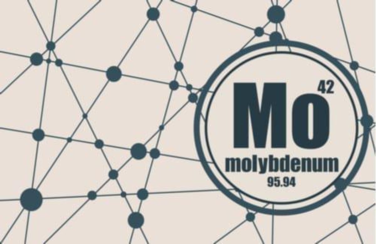 molybdenum mining companies