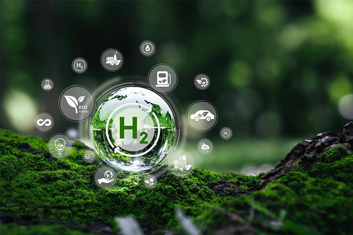 moss with "h2" symbol