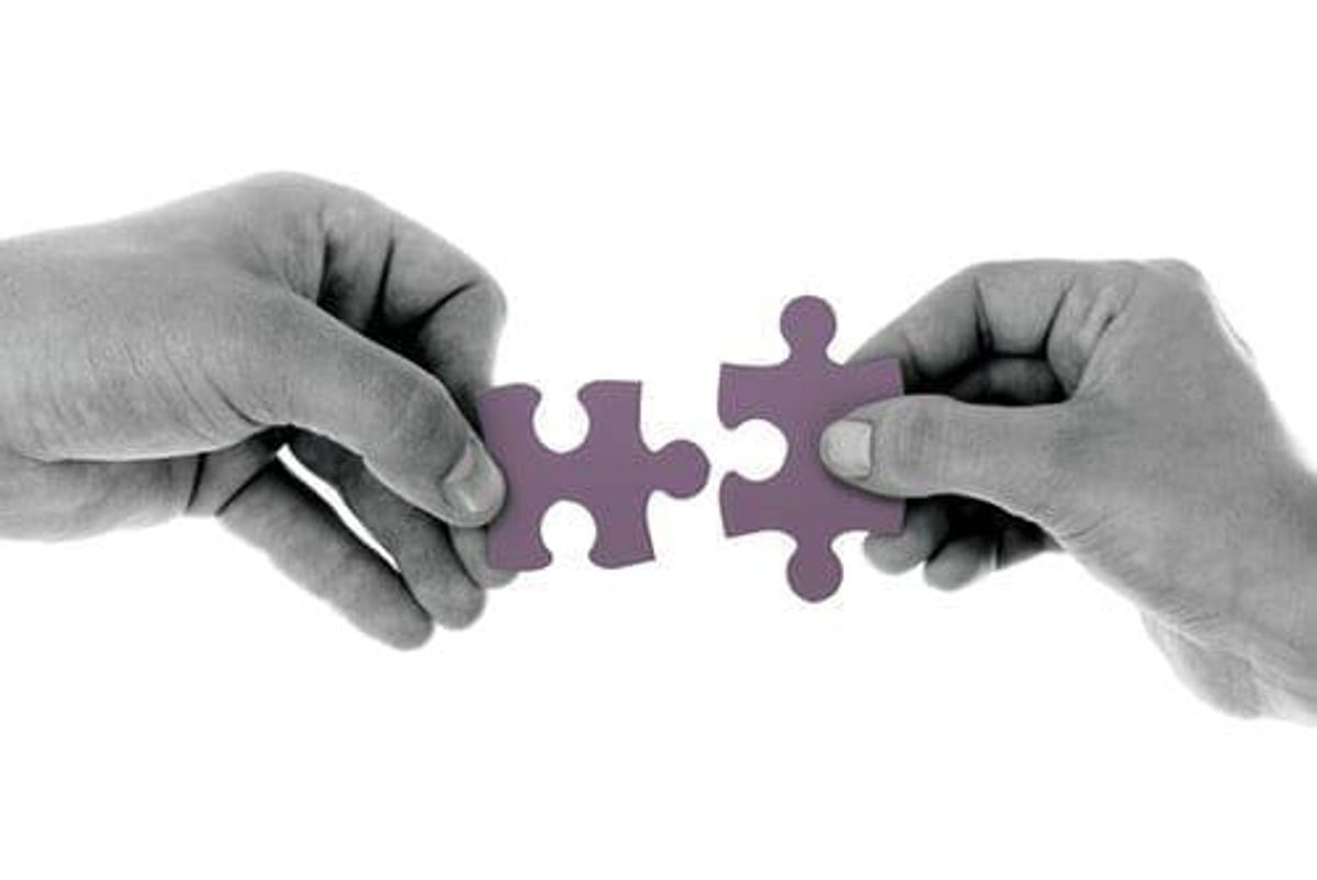 NASDAQ:IMV