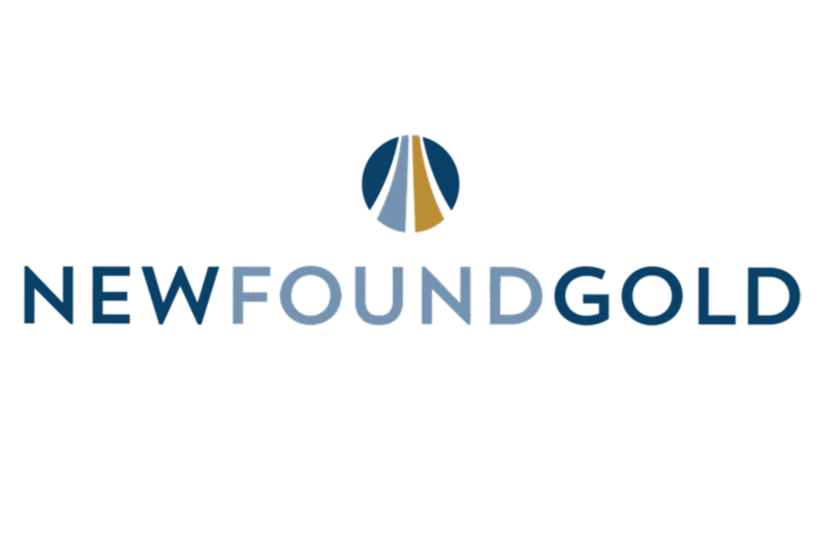 New Found Gold (TSXV:NFG)