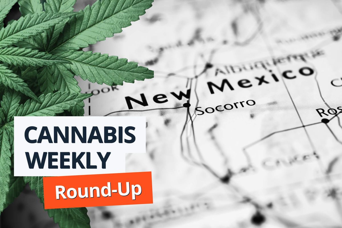 new mexico map