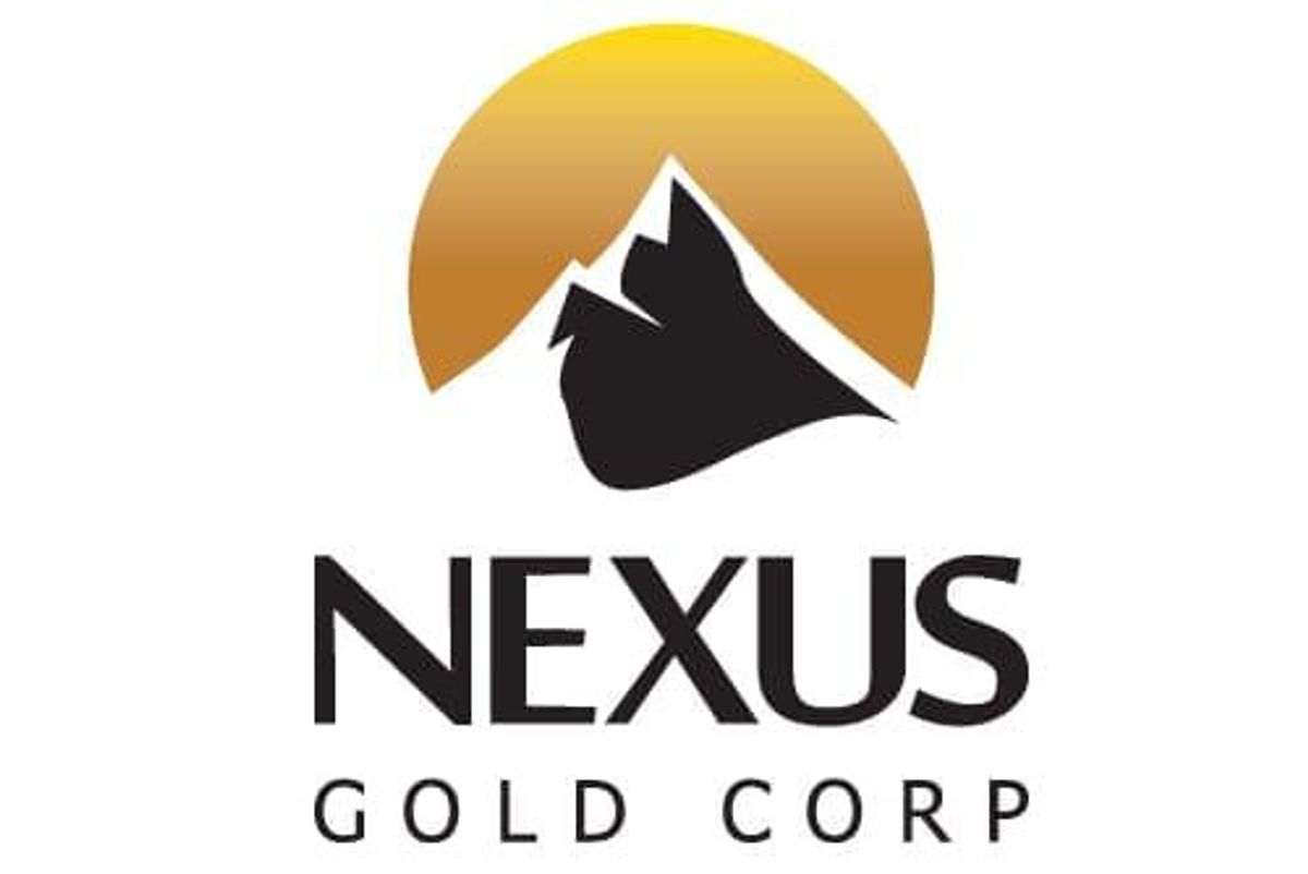 nexus gold stock