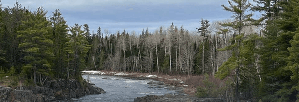 Image for Nine Mile Metals