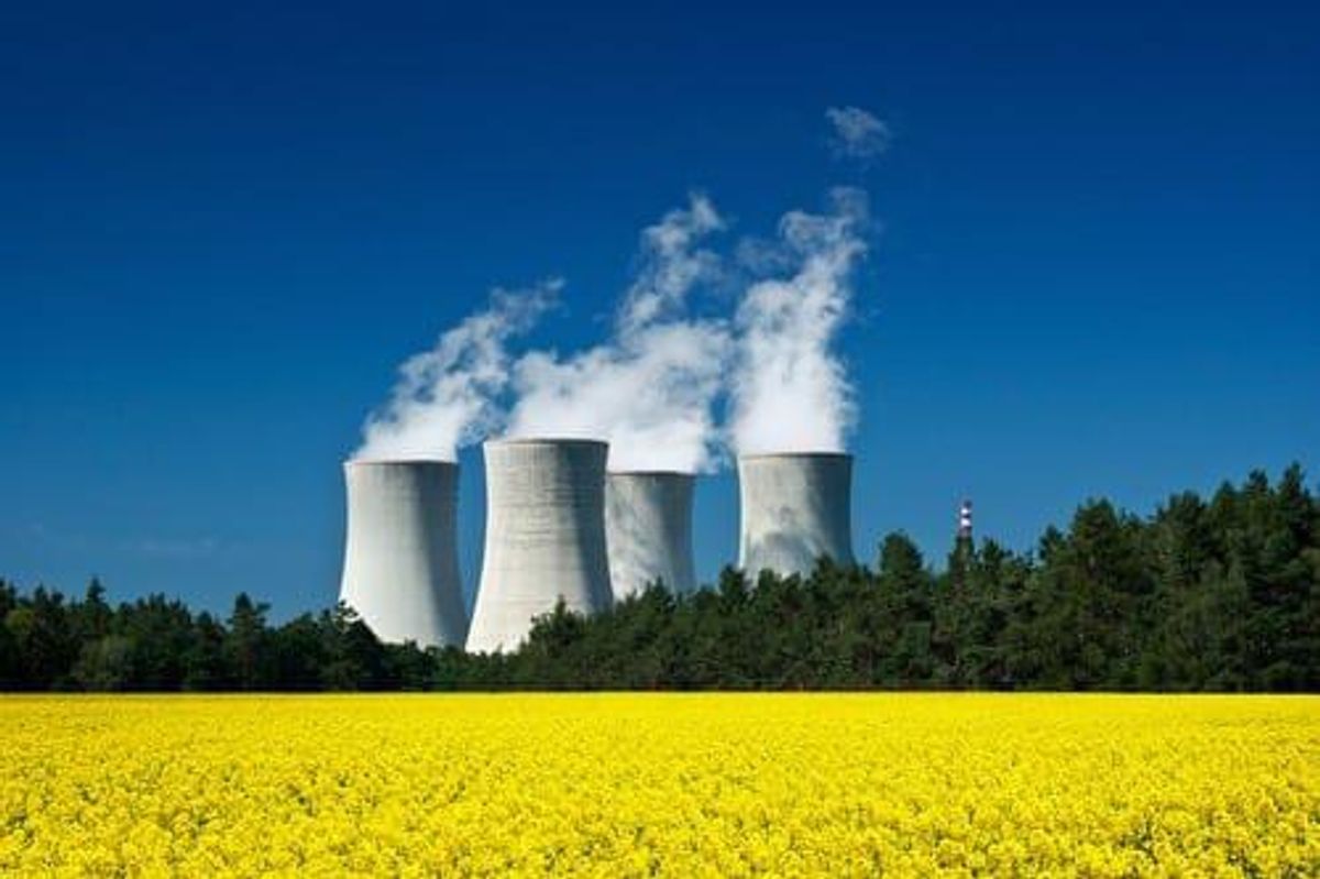 nuclear power plant rising above fields of canola flowers