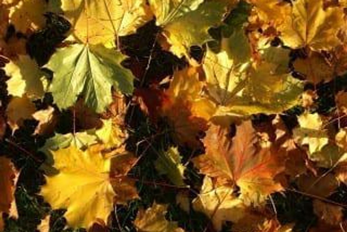 Oil and Gas Investing