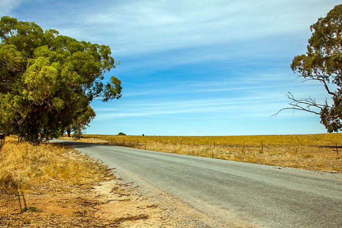 outback at narrandera, new south wales, australia