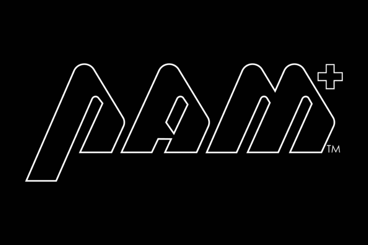 Pan Asia Metals Limited