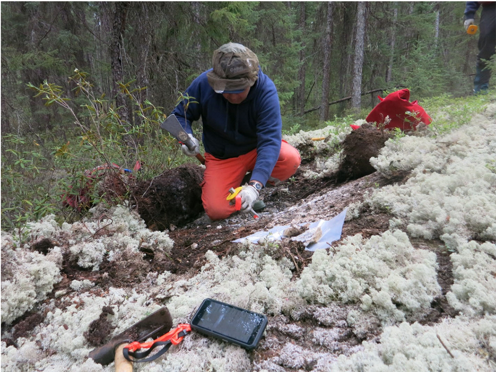 Pegmatite outcrop