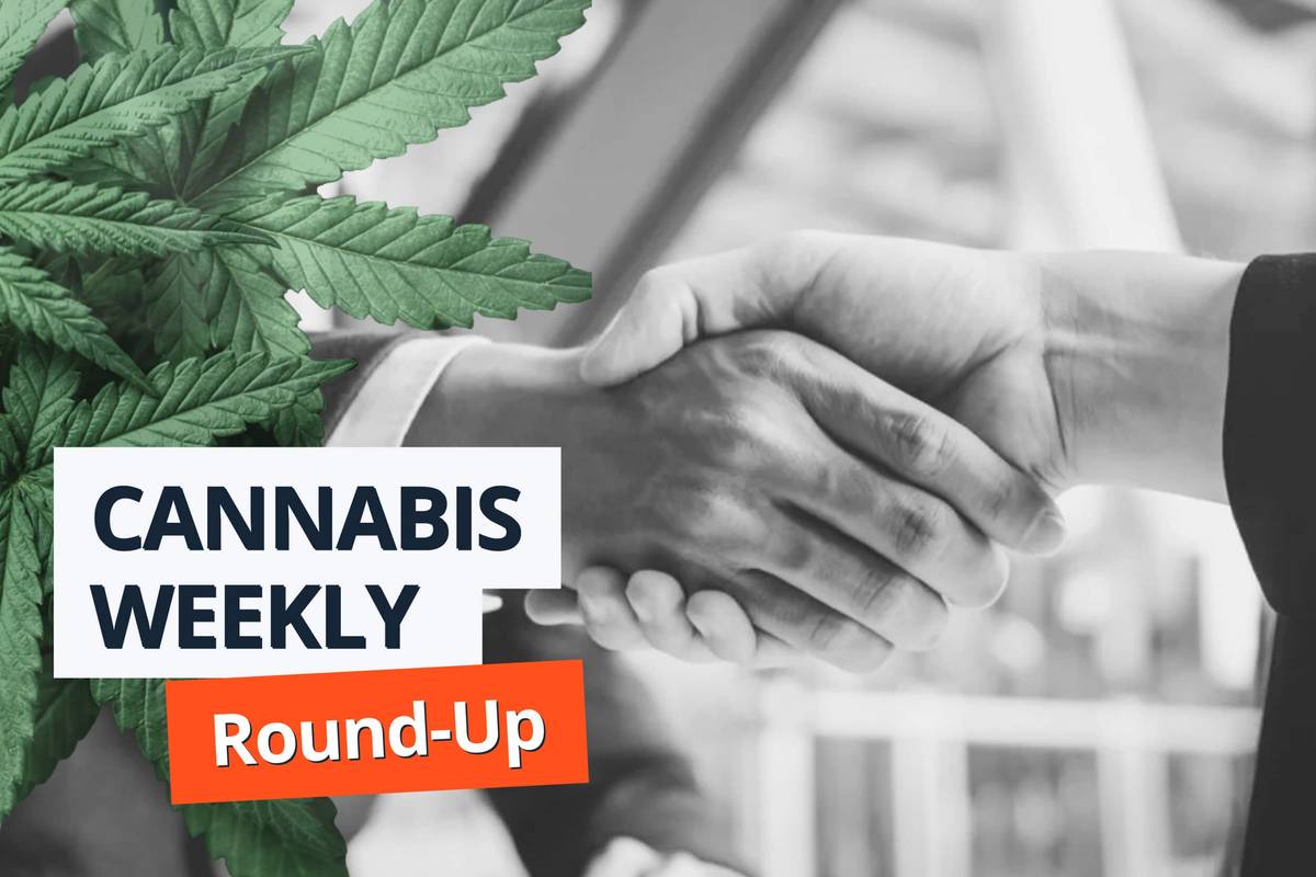 people shaking hands