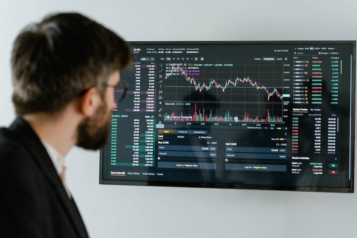 person looking at stock chart