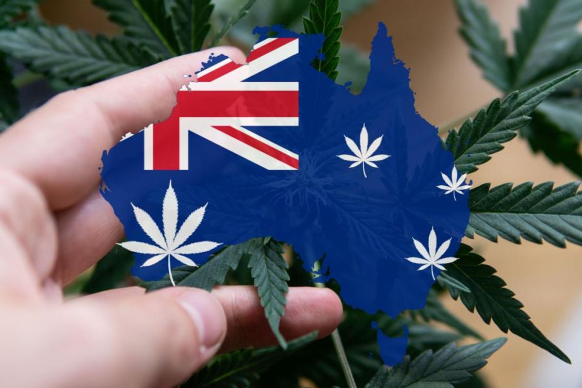 Person touching a cannabis plant; Australia map in flag colours.