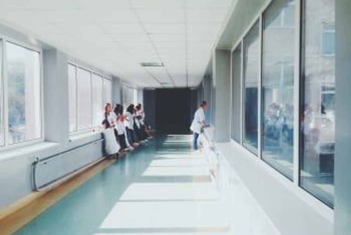 Pharmaceutical Investing