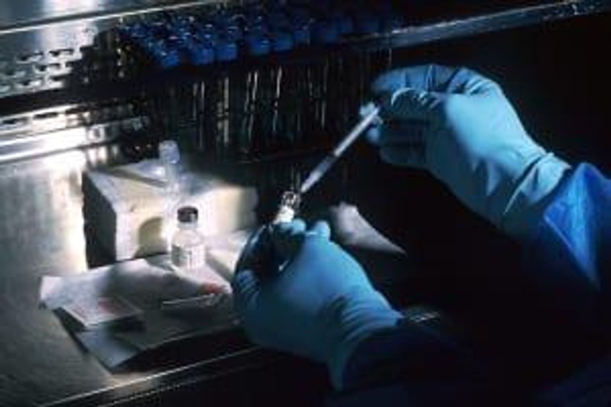 Pharmaceutical Investing