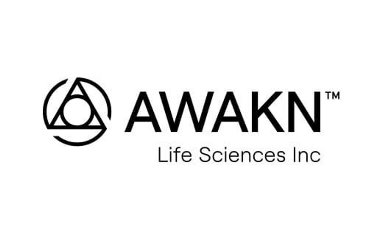 Pharmaceutical Investing