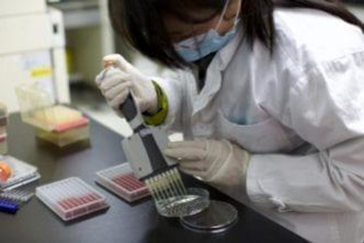 Pharmaceutical Investing