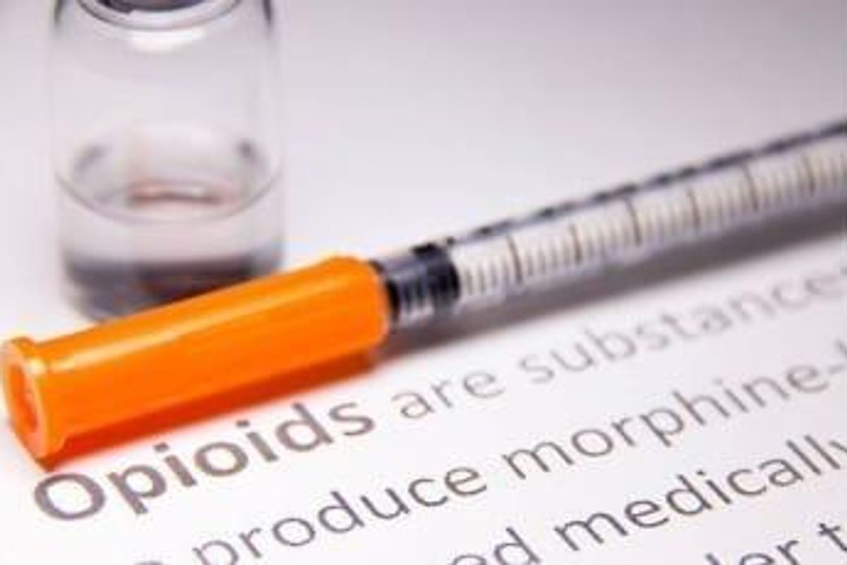 Pharmaceutical Investing