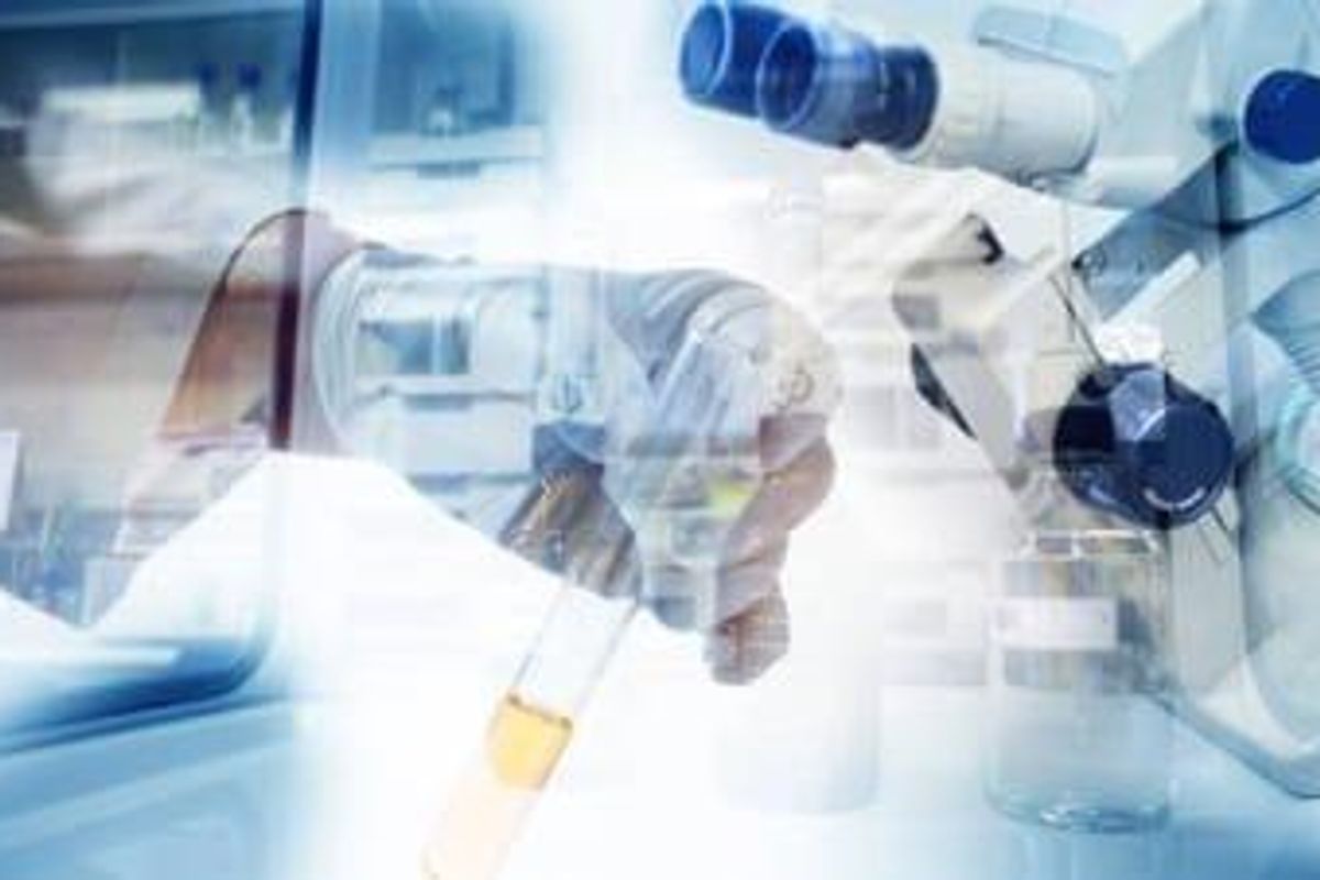 Pharmaceutical Investing