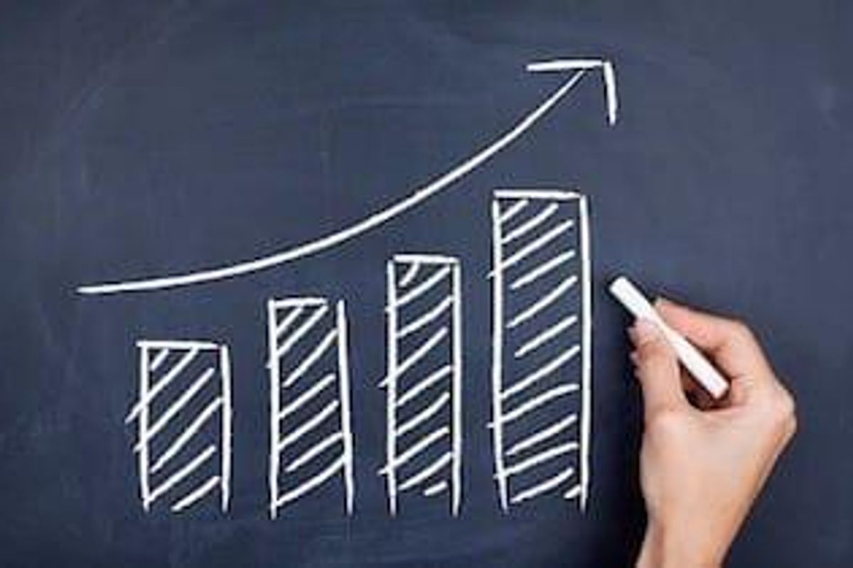 Pharmaceutical Investing