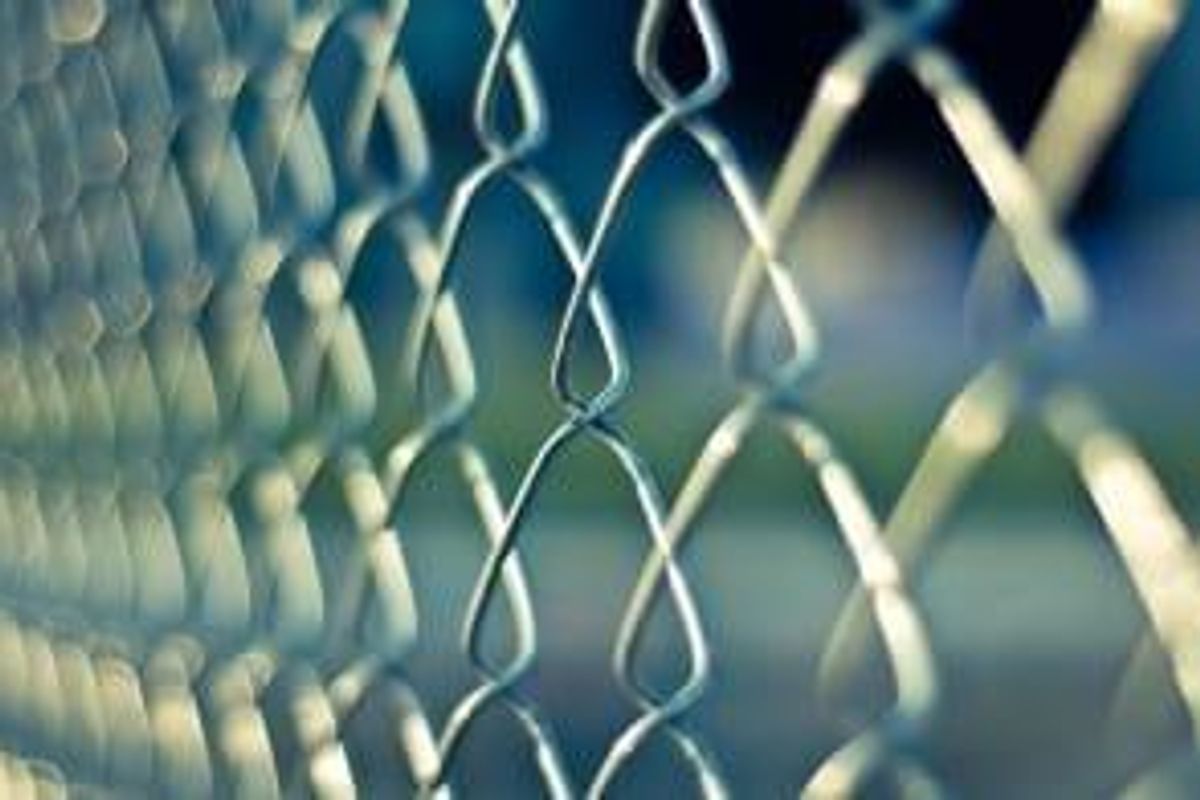 Pharmaceutical Investing