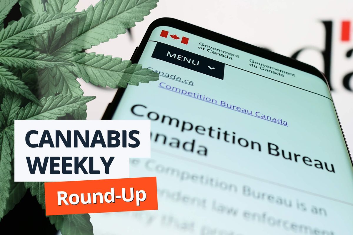 phone showing canadian competition bureau website