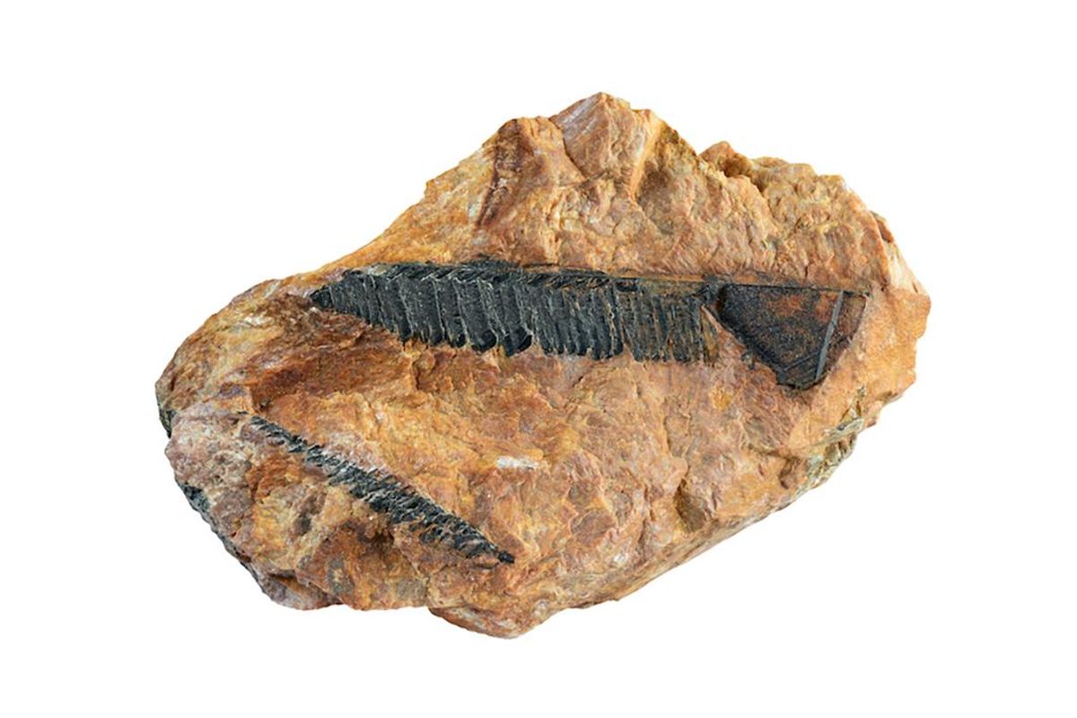 piece of monazite