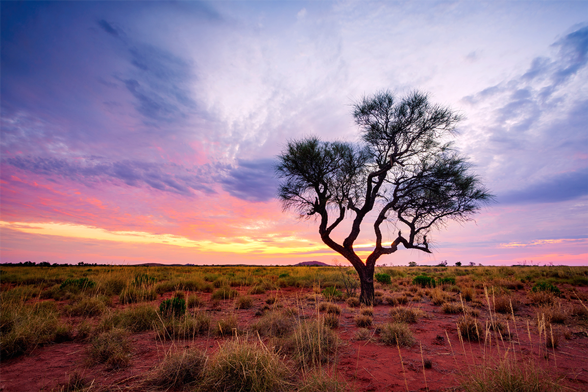 Pilbara region, Western Australia, Australia.