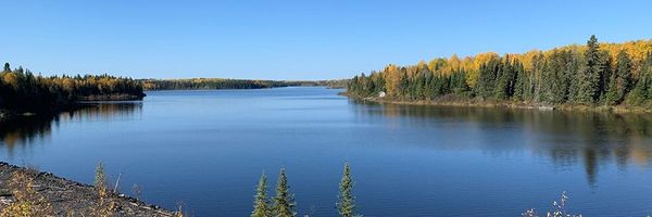 Image for Pinnacle Silver and Gold