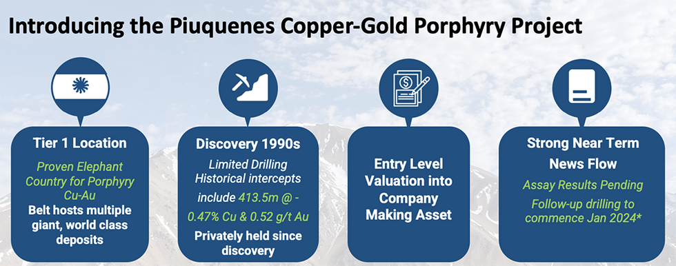 Piuquenes Copper-Gold Porphyry Project