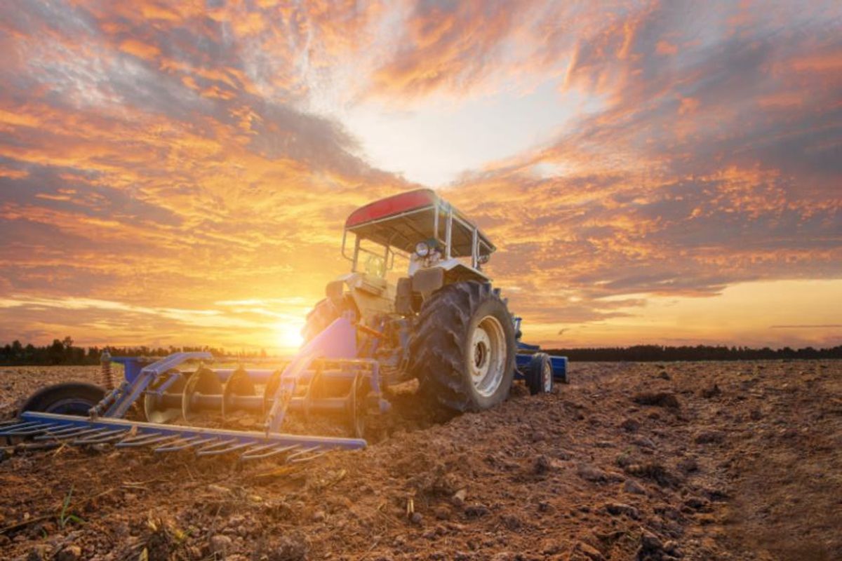 plow working fields