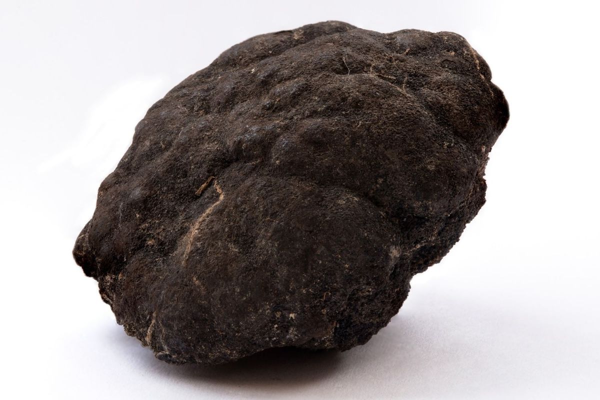 Polymetallic deep sea nodule.